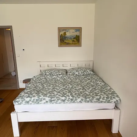 Mavis * 卡什佩尔斯凯霍里